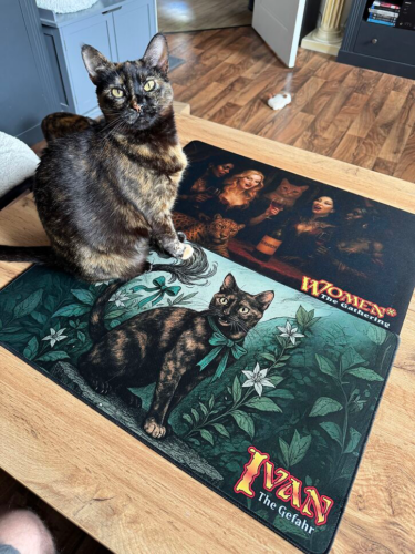 1 Player Custom Playmat photo review