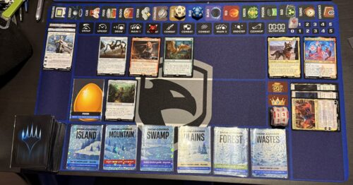Custom playmat a 1 giocatore photo review